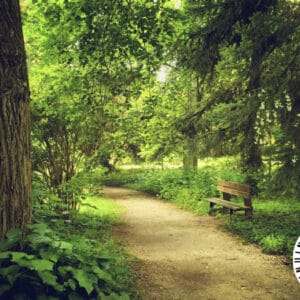 Session 11: Parks & Trails